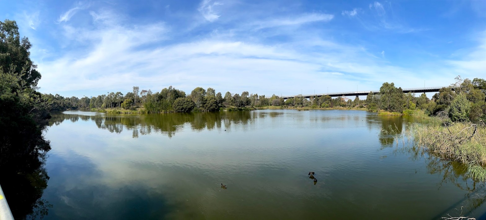 Navigating the Unique Landscape of Victoria’s Water Industry: A&nbsp;Primer